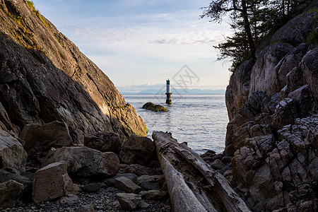 悬崖之间岩石岸边的木头上 浮游着风景支撑场景树木晴天日志海岸海洋公园图片