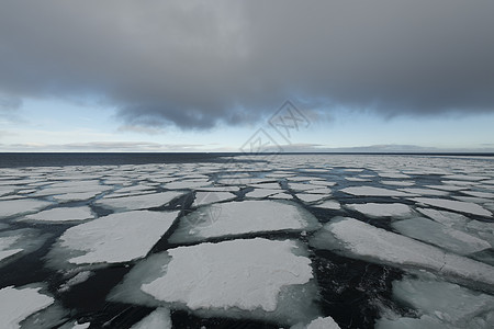弗朗兹约瑟夫土地附近巴伦支海夏季的海冰天空海洋海洋学生态冰川全球蓝色环境冷冻冰山图片