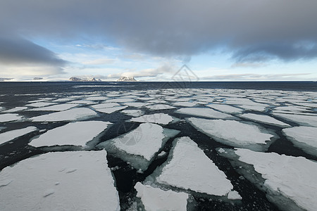 弗朗兹约瑟夫土地附近巴伦支海夏季的海冰气候生态旅游环境冷冻气候变化天空蓝色海洋学海洋图片