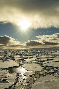 弗朗兹约瑟夫土地附近巴伦支海夏季的海冰冰山海洋学蓝色环境气候旅游生态旅行冷冻危险图片