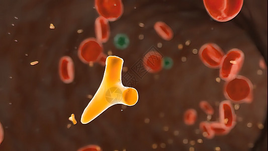 细菌白喉 对抗抗体疾病感染杆状科学毒素生物细胞溃疡生物学显微镜图片