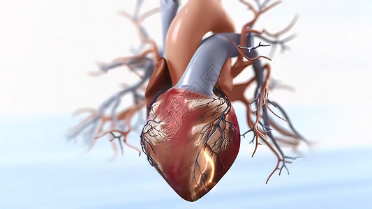 急性冠状腺综合征3d攻击血压心脏胸部烧伤情况药品胶囊症状疼痛图片