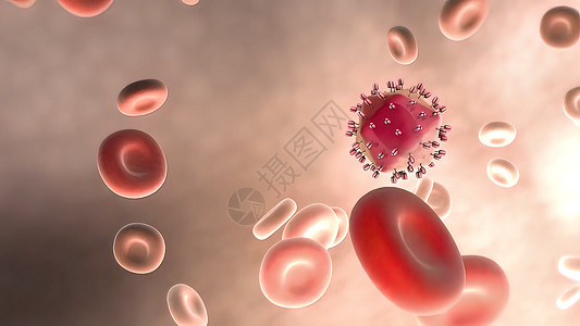 血液中甲型肝炎病毒的历程人力资源流感耐药性药品生物抗生素成年身体微生物学疱疹背景图片