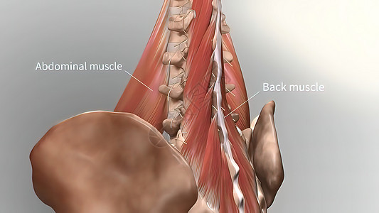 慢性低速后退疼痛 下背痛疾病扭伤身体痛苦运动伤害躯干女士脊柱药品身体不适高清图片素材