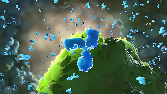 属于我们免疫系统一部分的抗体肝炎微生物学传染流感技术细胞病毒性传染性抗原疾病图片