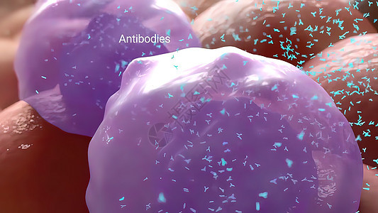 细菌白喉 对抗抗体显微镜免疫感染实验细胞发烧生物学溃疡药品伪膜图片