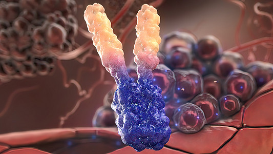 攻击肿瘤细胞的抗体机制计算机分子保健形状专注图形结构蜡笔病原图片