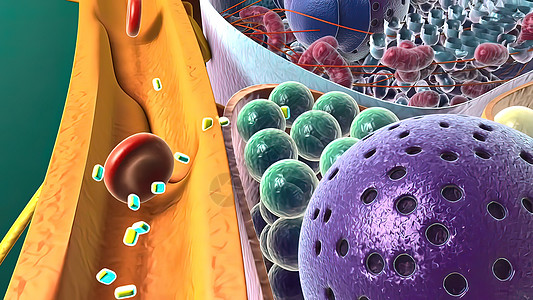 3d医疗插图细胞膜人体疾病细胞生物药品中枢神经化学失智生物学图片