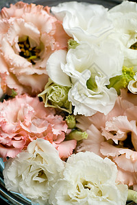 结婚证上美丽的鲜花背景背景纺织品窗帘入口玫瑰织物植物群花束公告推介会仪式背景