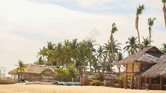 热带花菲律宾沙滩沿岸棕榈树间的传统渔村 179 6背景