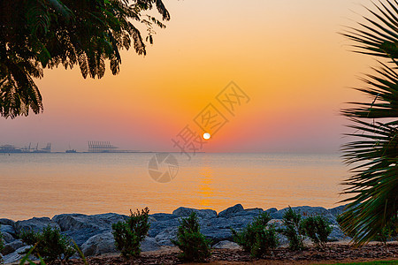 明亮的浪漫热带国家海日夕阳海洋海岸阳光地平线棕榈假期海滩支撑墙纸日落图片