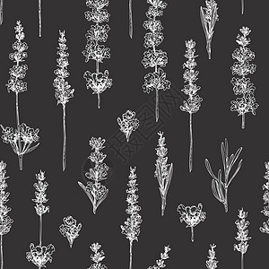 无穷无尽的图案 手画了在黑板背景上孤立的可爱拉凡德花朵的草图 法国证明是浪漫新设计概念的翻版风格 天然熔化物素描收藏植物草本植物图片
