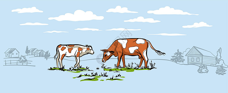 牛群在村里草坪上行走 用微妙的蓝色横向插图 用于包装设计 矢量法 为容器设计图片