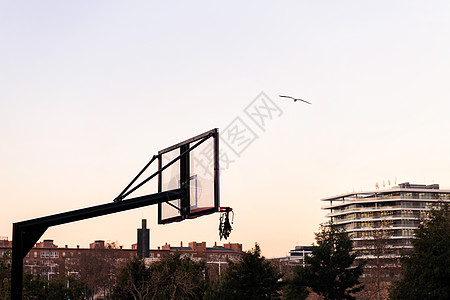 城市篮球场篮篮子图片