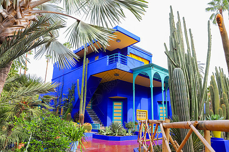 摩洛哥马拉喀什Majelle花园蓝色别墅 摩洛哥马拉喀什热带旅行花园棕榈植物学房子建筑建筑学植物绿色图片