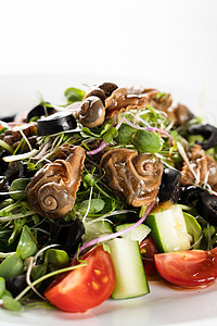 绿色沙拉和白底的黑葡萄蜗牛 法国美食美味蔬菜食物餐厅烹饪草药绿色叶子沙拉田螺图片
