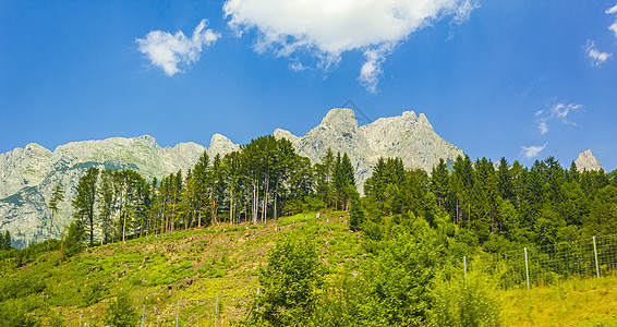 奥地利的极好的木林山和高山全景图片