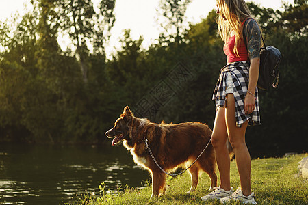 和女主人一起在公园散步的边境狗女孩动物朋友闲暇日光宠物快乐皮带女性犬类图片