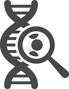 基因研究图标 Dna 分子 带有放大镜图片