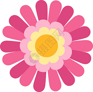 粉红花 装饰性可爱的花园花图片