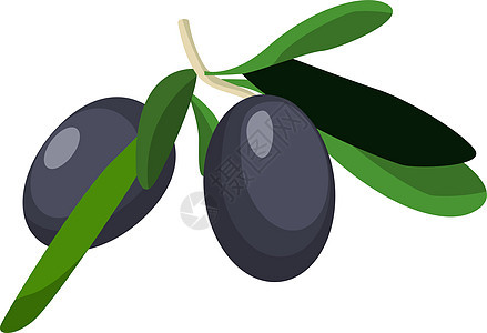 黑色橄榄图标 绿色树枝 有叶子和成熟水果图片
