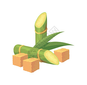 卡通甘蔗糖 棕色糖和甘蔗原植物的立方体 矢量说明图片
