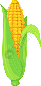 绿叶中的玉米鳕 卡通玉米作物图片