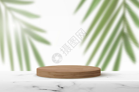 大理石桌面大理石表面的木质讲台 空圆柱形足迹用于本底棕榈叶的产品演示插画