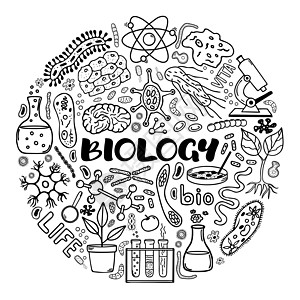 生物 圆形概念矢量手工抽取涂鸦式元素图片