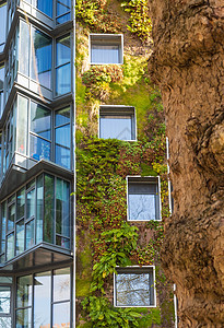 城市中的绿绿色植被建筑办公室植物生态窗户建筑学图片