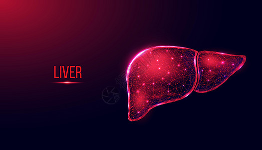 人类肝脏 无线框架低聚苯乙烯风格 黑色蓝背景的现代3d矢量图解图片