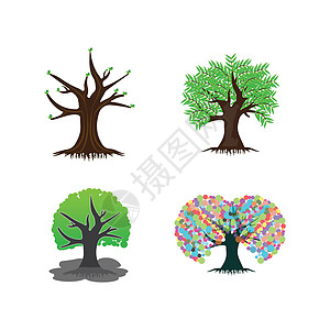 树日志生物教育生活生长单元孩子们环境叶子标识树干图片