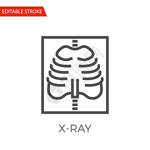 X射X光矢量图标骨骼诊断x射线诊所健康治疗手术插图胸部情况图片