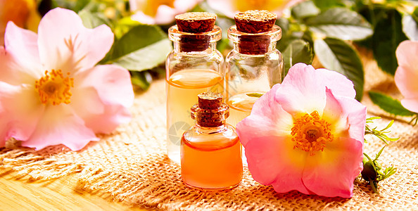 选取焦点 自然物体a 选择聚焦点 性质物体粉色香气草本有机物按摩芳香疗法治疗玫瑰玻璃瓶图片