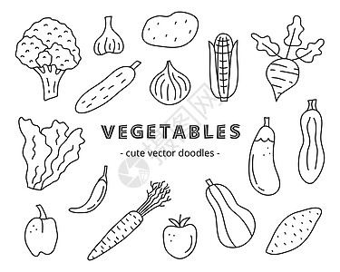 一套涂鸦提纲蔬菜图标图片