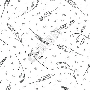 无缝模式 谷物和谷物季节麸质生长叶子农场植物涂鸦农业小麦绘画图片