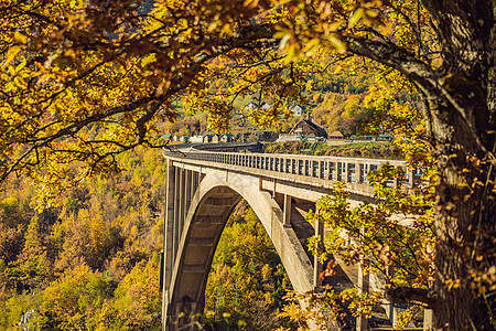 黑山大桥横跨塔拉河雾清晨阳光地标游客森林旅行建筑学山脉石头全景公园图片