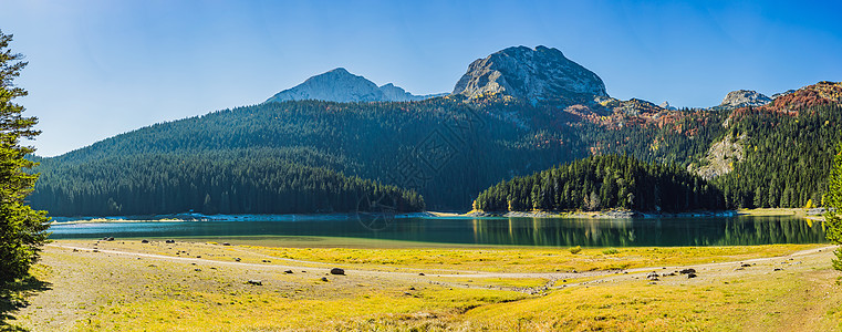 黑线稿山黑湖的全景早晨视图 杜米托尔国家公园 的平静夏日景象 Zabljak 地点 黑山 欧洲 自然之美概念背景背景