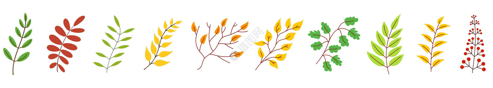 秋叶 秋叶系列 矢量插图生态天气植物群季节植物植物学艺术绘画木头叶子图片