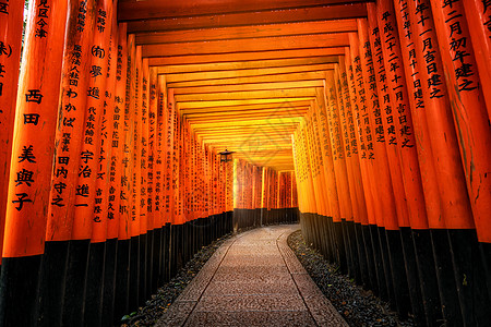 日本京都的红色托里门目的地摄影地方文化地标神社消失神道建筑学橙色图片