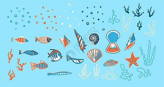 大量的鱼 贝壳 藻类和其他元素 海洋主题图片