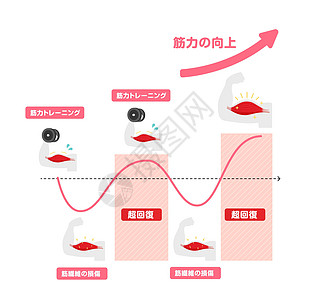 高效肌肉增长图解 超补偿机制 日本人营养治疗神经病健身房生长食物圆周脂肪身体培训师图片