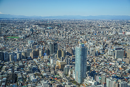 从东京市政厅天文台看到东京市风景的东京城景街景旅游企业形象景点蓝色办公楼城市建筑群蓝天景观图片