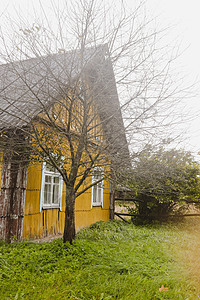 欧洲东部农村的旧木制老木制房屋建筑学乡村建筑环境栅栏农业公园房子森林村庄图片