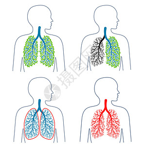 一套呼吸系统主题的插图 结核病 肺部疾病 肺癌 促进健康的生活方式 医学 健康和生态学 矢量插图图片