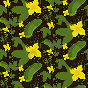 黄瓜 鲜花和深色背景叶子的无缝图案 用于种子包设计的平板插图图片