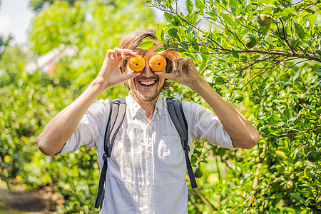 男人和曼纳丽纳斯 在橘子种植园控制收获花园生长植物学橙子工人植物食物种子图片