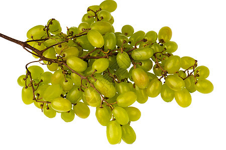 白种背景的一连串成熟桌葡萄被孤立饮食植物浆果甜点藤蔓桌子水果食物茶点盘子图片