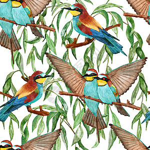 水彩无缝的手与森林林区捕鸟王蜂类鸟类一道绘制图案 Willife自然古老背景 树叶绿 飞鸟设计图片