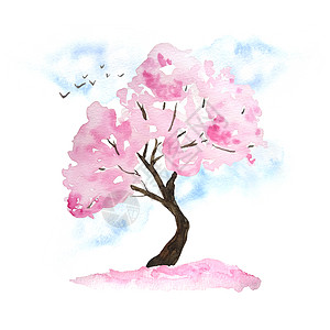 水彩手绘设计插图粉红色樱花树盛开的鲜花 天空 鸟类 落花 Hanami 节日传统日本日本文化 自然景观植物 春三月四月卡片花瓣作图片